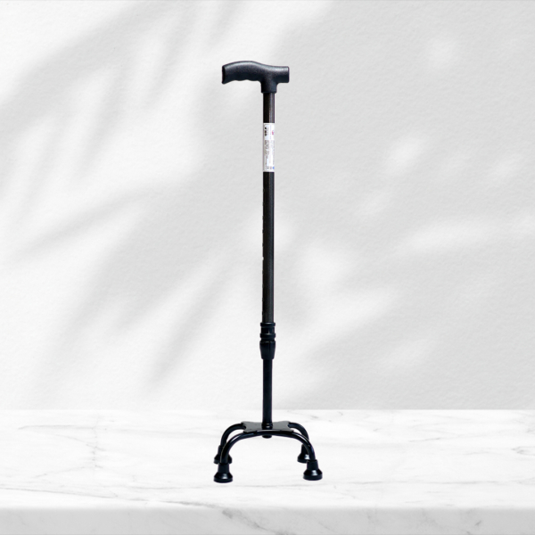 QUADRIPOD 004- WALKING STICK - Image 5