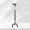 QUADRIPOD 004- WALKING STICK