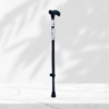 Walking Stick 001 - Image 2