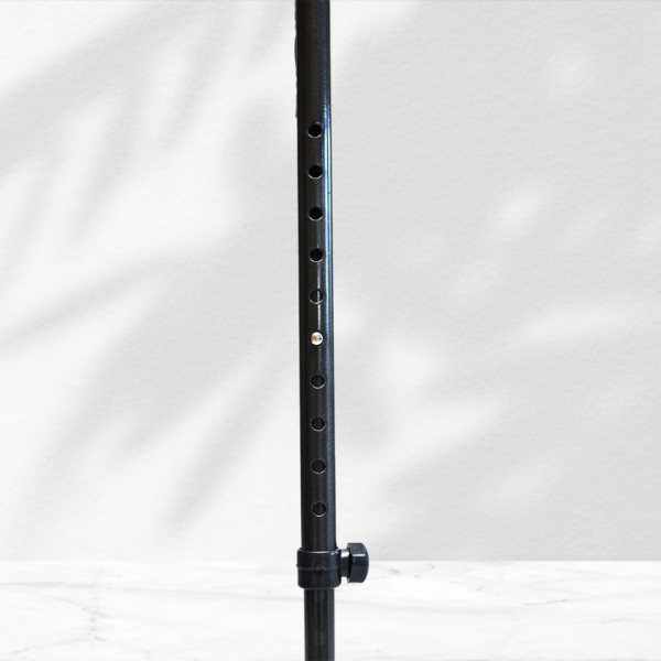 Walking Stick 001 - Image 3